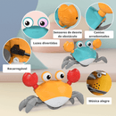 Caranguejo Musical  Kids