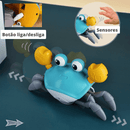 Caranguejo Musical  Kids