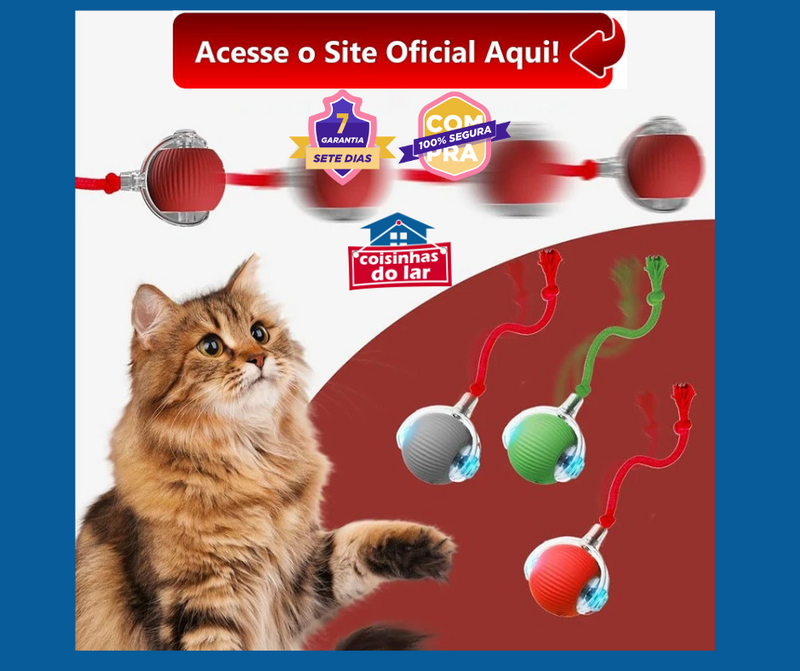 Bola Divertida Pets