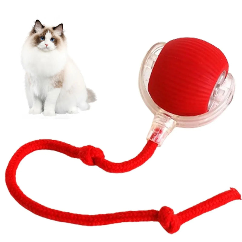 Bola Divertida Pets
