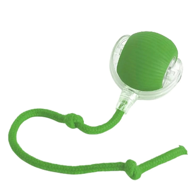 Bola Divertida Pets