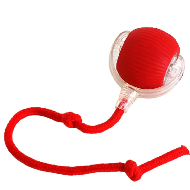 Bola Divertida Pets