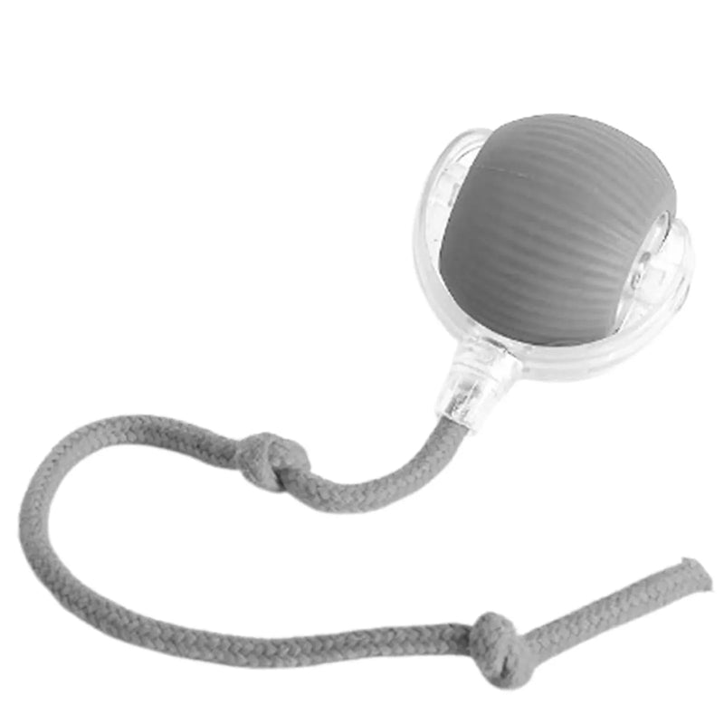 Bola Divertida Pets