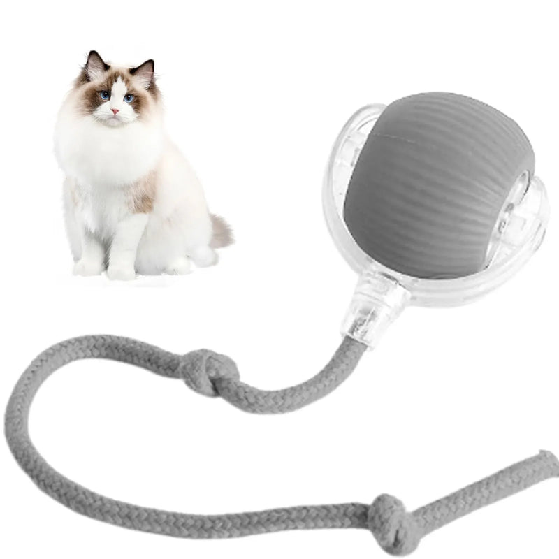 Bola Divertida Pets