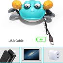 Caranguejo Musical  Kids