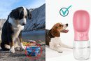 Garrafa Portátil de Água para Pets
