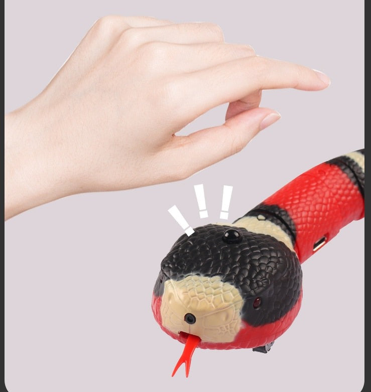 Cobra Divertida para Gatos