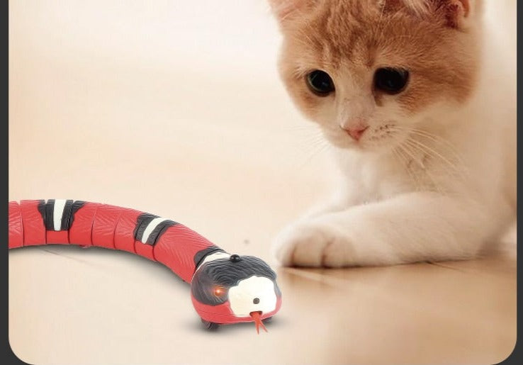 Cobra Divertida para Gatos