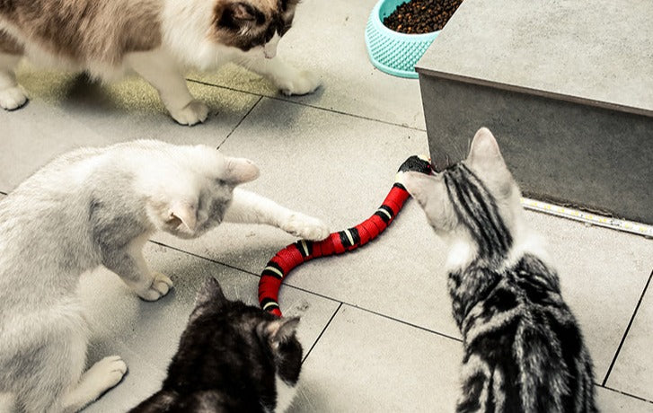 Cobra Divertida para Gatos