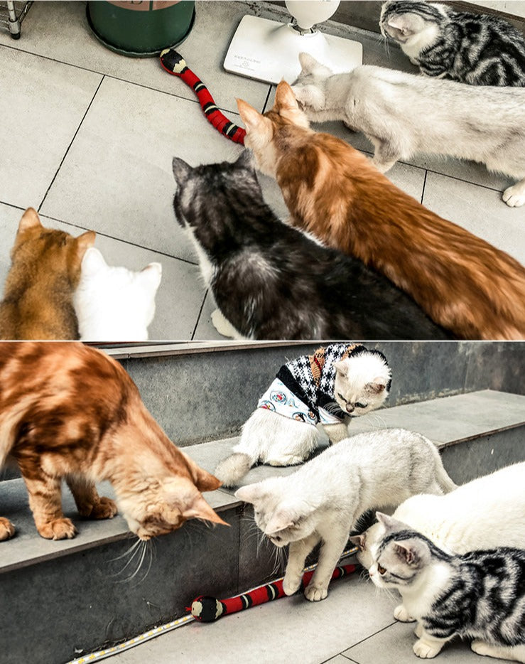 Cobra Divertida para Gatos