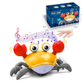 Caranguejo Musical  Kids