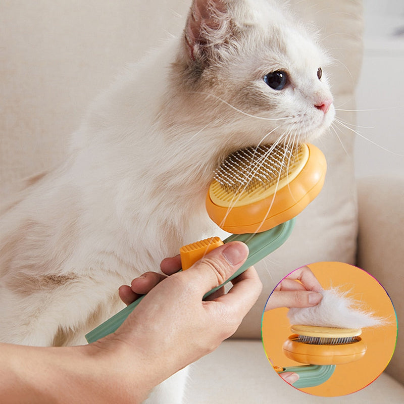 Escova de Pet Sonhos Terapêutica