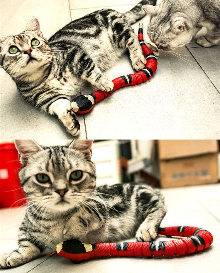 Cobra Divertida para Gatos