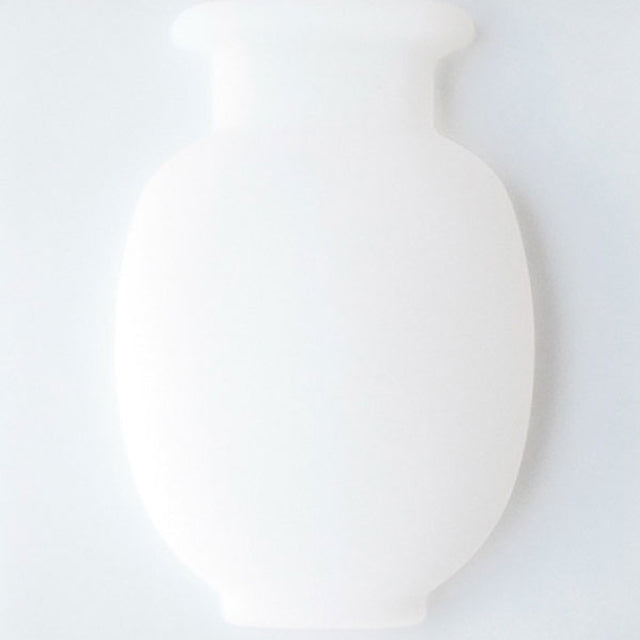 Vaso Mágico de Flores