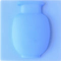 Vaso Mágico de Flores