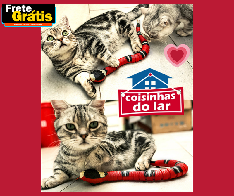 Cobra Divertida para Gatos
