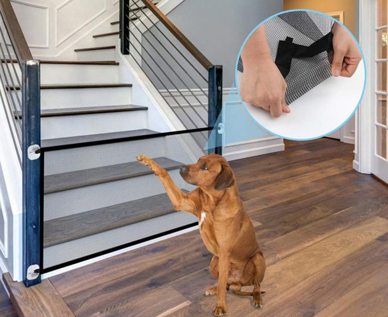 Super Porta Transparente para Pets e Bebês