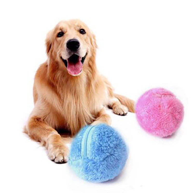 Bolinha Mágica Pet