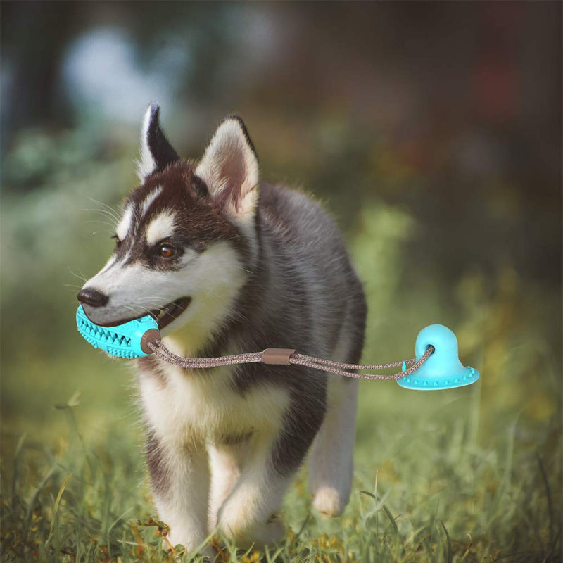 GRUDABOL TOY- Brinquedo de Ansiedades para Pets