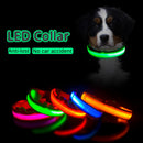 Coleira Led Pets