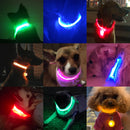 Coleira Led Pets