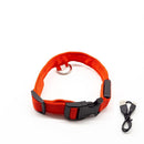 Coleira Led Pets