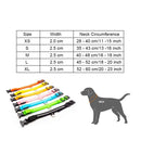 Coleira Led Pets