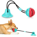 GRUDABOL TOY- Brinquedo de Ansiedades para Pets
