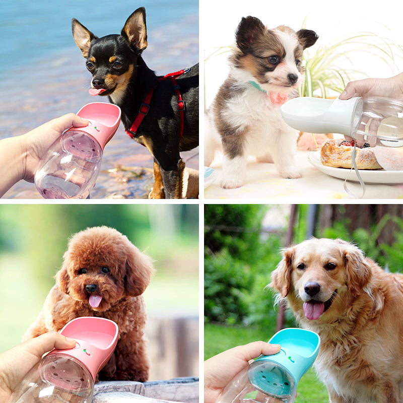 Garrafa Portátil de Água para Pets