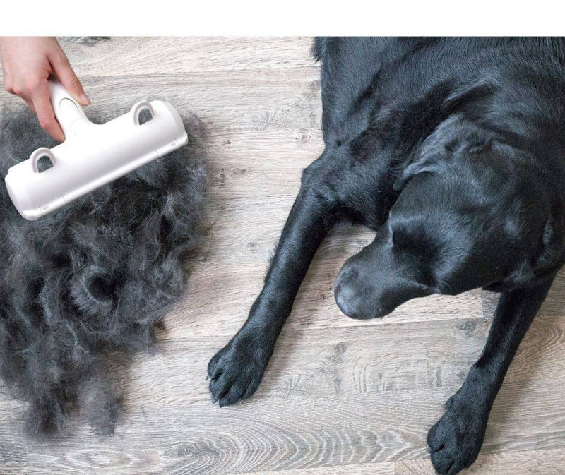 Rolo Removedor de Pelos Pets